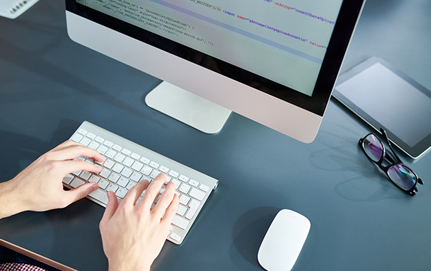 Web Development Services We Offer